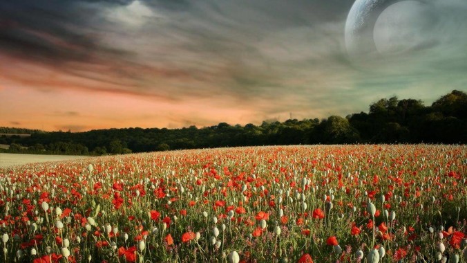 如何看待凤凰传奇取消天津场演唱会？